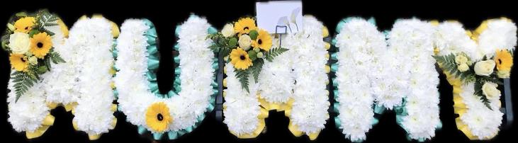 Jamaica Theme Mummy (5)