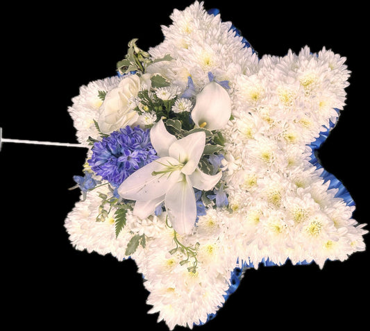Star Tribute