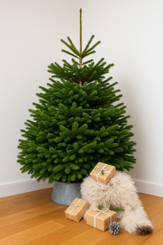 Nordic Spruce Christmas Tree